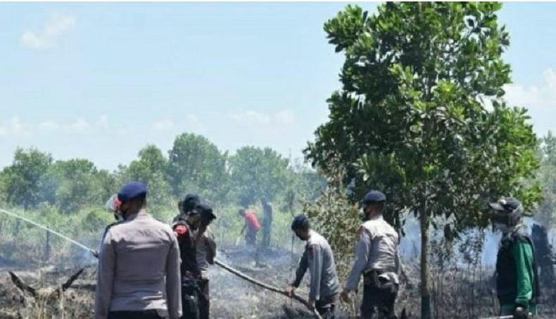 Satgas Darat Kesulitan Padamkan Titik Karhutla di Kalsel