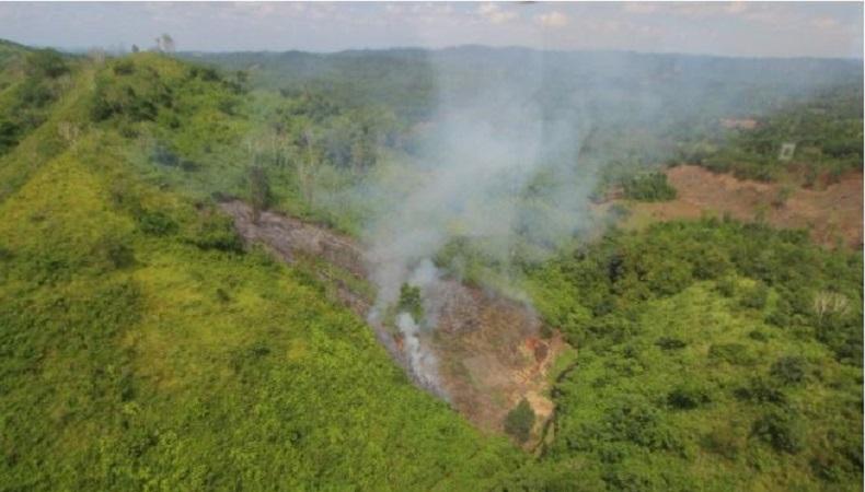 Kebakaran Hutan dan Lahan Mulai Marak di Pegunungan Meratus