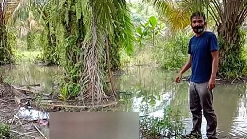Warga Batubara Geger Temukan Mayat Membusuk Tanpa Identitas di Kebun Sawit