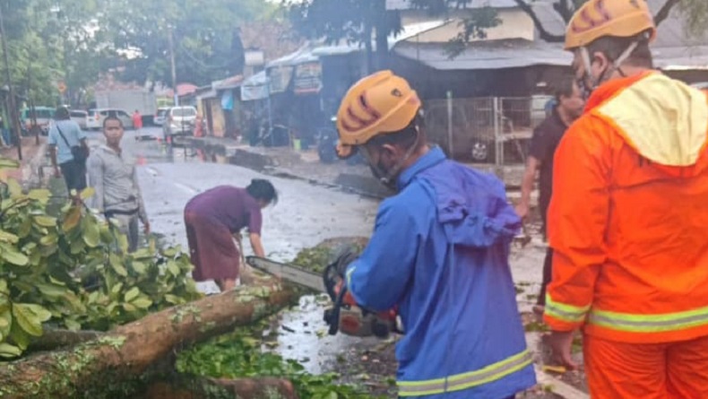 Hujan Es Disertai Angin Kencang Landa Cimahi, Sejumlah Pohon Tumbang