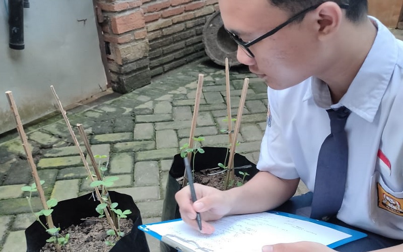 title Program Bank Kedelai Jadi Cara SMA Pradita Dirgantara Wujudkan Green School Program Bank Kedelai Jadi Cara SMA Pradita Dirgantara Wujudkan Green School