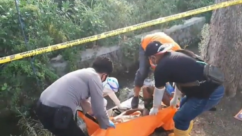 Pengepul Buah di Pasuruan Tewas usai Terjatuh dari Pohon Mangga Belasan Meter