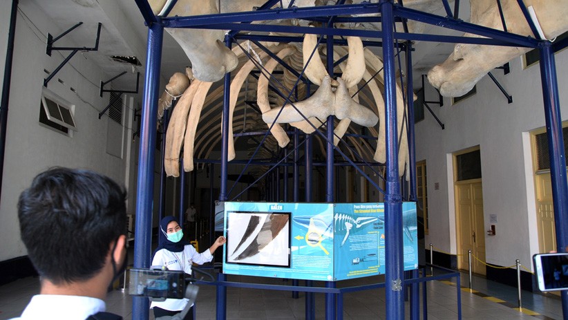 Wisata Virtual Mengenal Flora dan Fauna Kebun Raya Bogor - Bagian 2