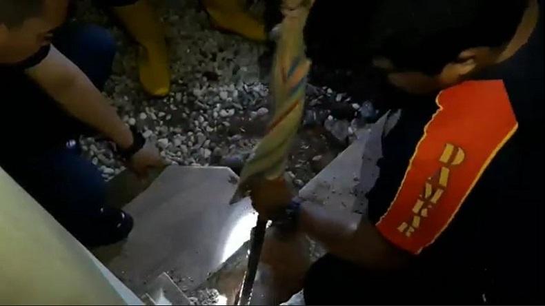 Anak Kucing Terjebak dalam Pipa Pembuangan Air di Pasuruan, Petugas PMK Turun Tangan