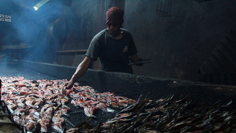 title Kulonprogo Kembangkan Kuliner Lele Asap, Dukung Percepatan Ekonomi di Pesisir Selatan Kulonprogo Kembangkan Kuliner Lele Asap, Dukung Percepatan Ekonomi di Pesisir Selatan