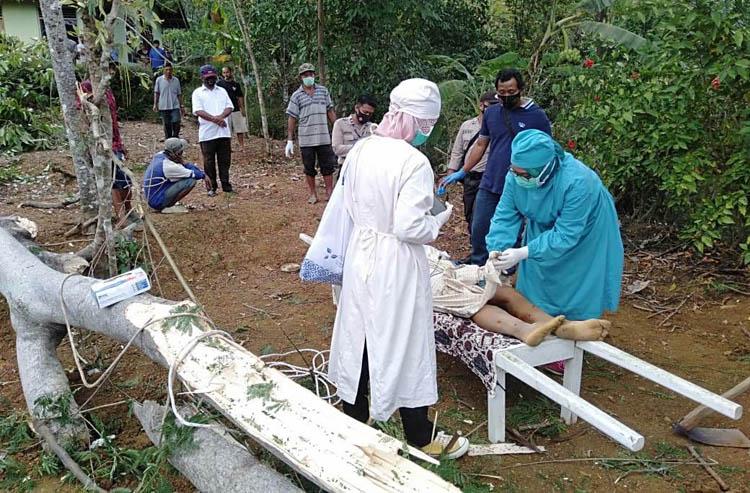 Tragis, Kakek di Kulonprogo Tewas Tertimpa Pohon yang Ditebang Tetangga