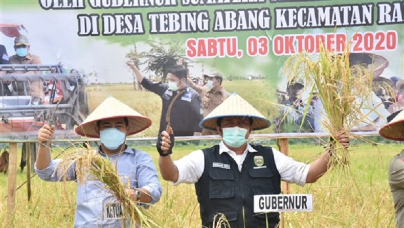 Semangati Petani, Gubernur Herman Deru Panen Raya di Rantau Bayur Banyuasin
