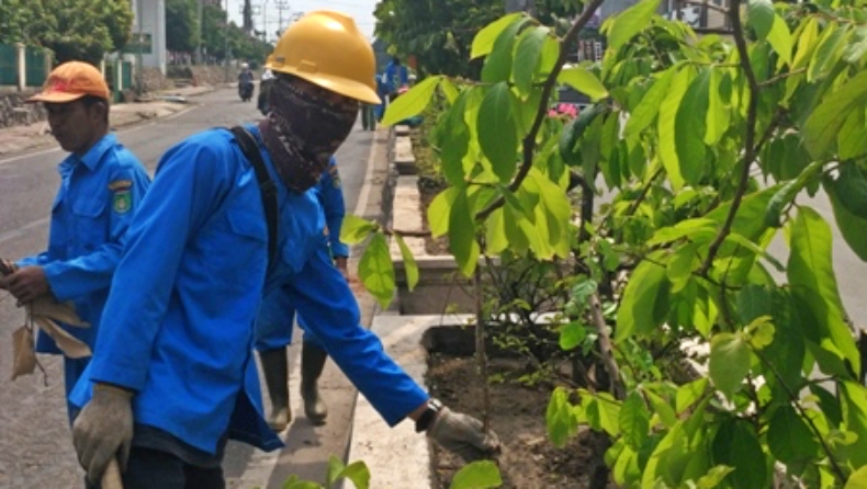 Duh, Tanaman Hias di Median Jalan Prabumulih Hilang Dicuri