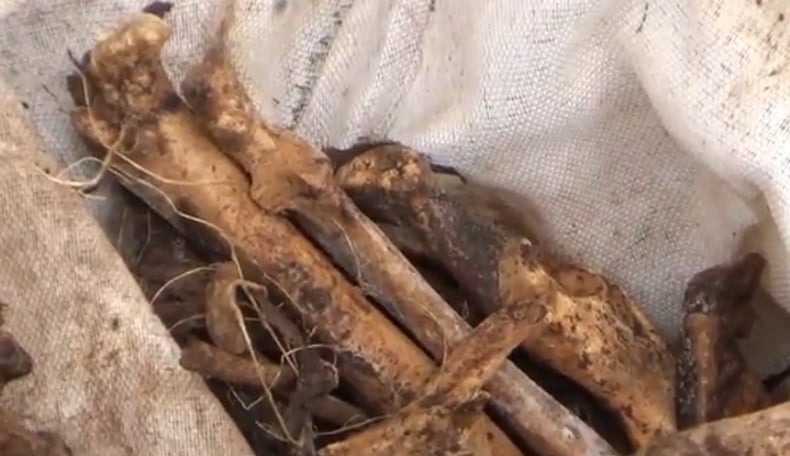 title Identitas Kerangka Manusia Tergantung di Pohon Terungkap, Korban Lama Dicari Keluarga Identitas Kerangka Manusia Tergantung di Pohon Terungkap, Korban Lama Dicari Keluarga
