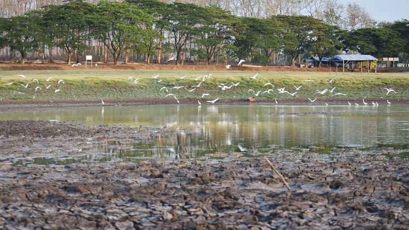 Kekeringan di Waduk Saradan Madiun Meluas - Bagian 2
