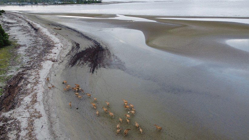 Kawasan Pantai Batu Gong Konawe Tercemar Limbah Tambang Nikel - Bagian 1