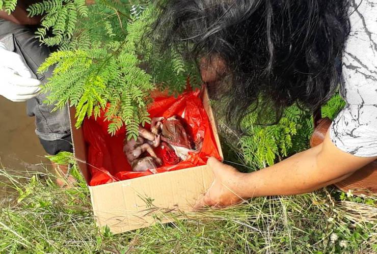 title Asyik Mancing di Selokan Mataram, Dua Pria Temukan Mayat Bayi Asyik Mancing di Selokan Mataram, Dua Pria Temukan Mayat Bayi