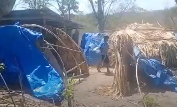 Warga Besipae NTT Diserang Massa Desa Tetangga, Puluhan Luka dan Tenda Dirusak
