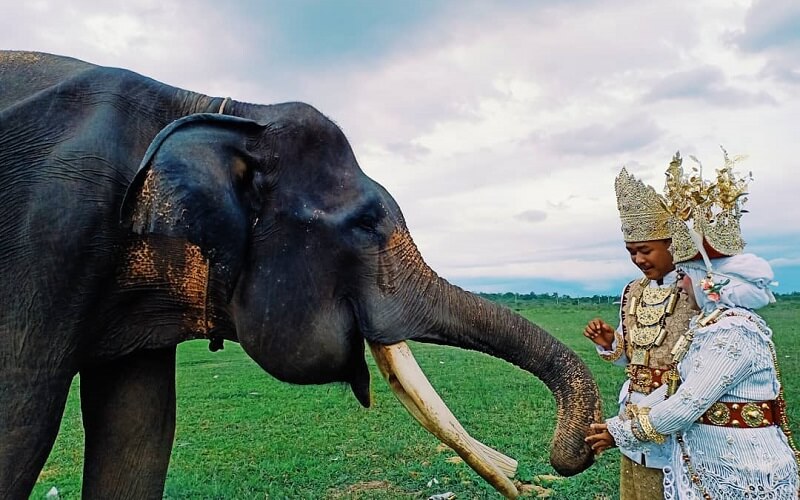Sejarah Way Kambas, Taman Nasional Tertua di Indonesia: Ternyata Didirikan oleh Pemerintah Belanda