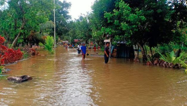 Banjir 1 Meter Rendam Palopo, Ratusan Jiwa Krisis Makanan dan Minuman