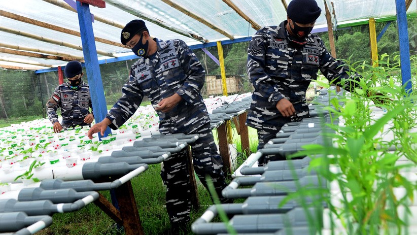 TNI AL Tanam Sayuran Hidroponik, Hasil Dibagikan Gratis kepada Warga Miangas - Bagian 1