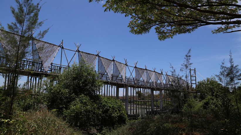 Jembatan Bambu Senilai Rp1,2 M Terbengkalai di Ekowisata Mangrove Surabaya - Bagian 2