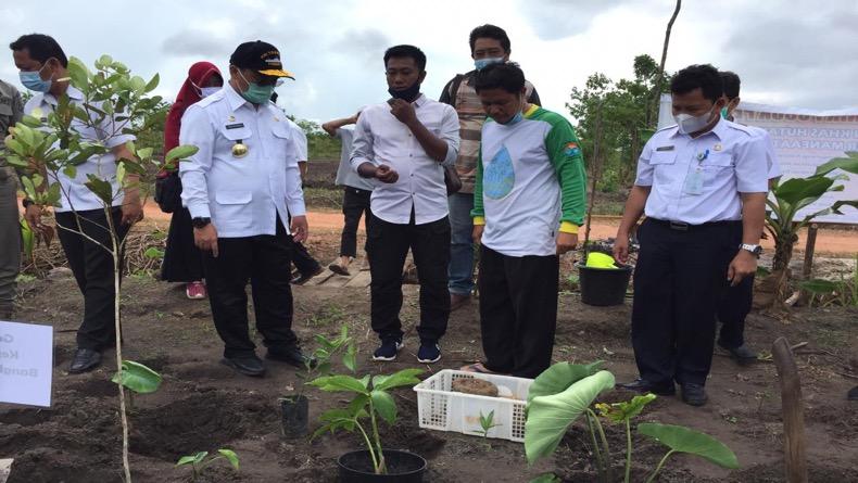 200 Petani Porang di Babel Akan Kontrak KUR untuk Membantu Permodalan