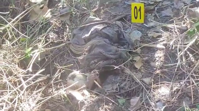 Kerangka Manusia Ditemukan di Hutan Jati di Situbondo, Diduga Tewas 3 Bulan Lalu