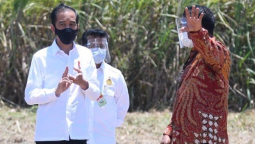 Presiden Jokowi Resmikan Pabrik Gula di Sulawesi Tenggara - Bagian 2