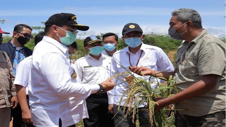 Gubernur Babel Dorong Petani Manfaatkan Tasela