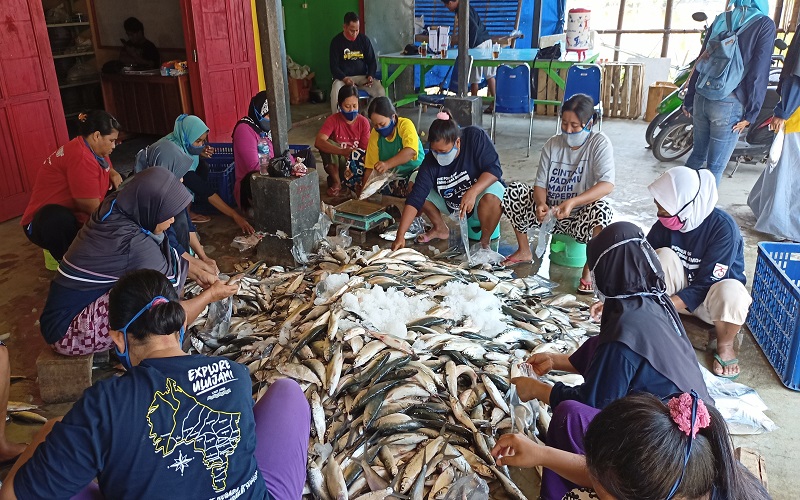 IRT di Pemalang Mendadak Jadi Buruh Sortir Ikan Demi Dapur Tetap Mengepul