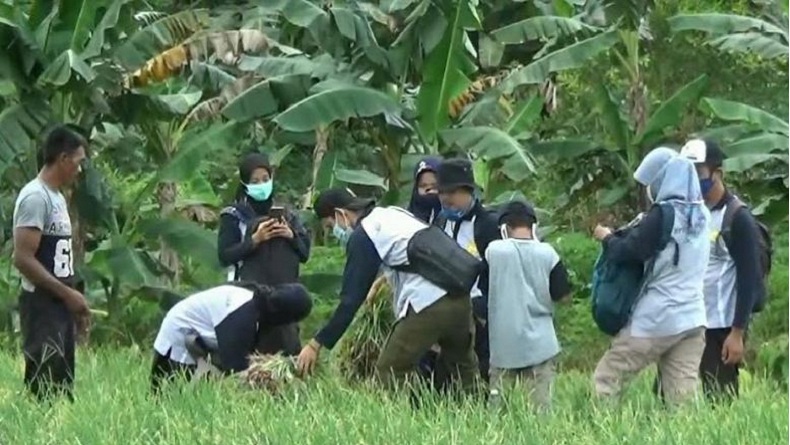 150 Petani Milenial Disiapkan Untuk Majukan Sektor Pertanian Di Bangka ...