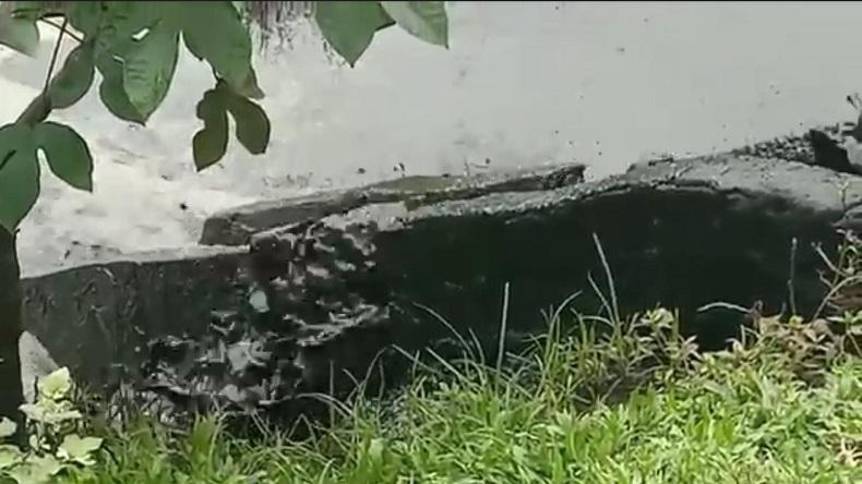 Sungai Batanghari di Musi Banyuasin Tercemar, Diduga dari Limbah Pabrik Sawit