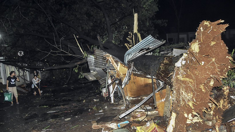 Pohon Tumbang akibat Angin Kencang di Bekasi, 1 Warga Terluka - Bagian 2