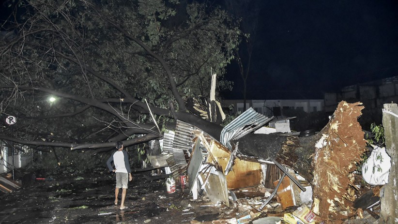 Pohon Tumbang akibat Angin Kencang di Bekasi, 1 Warga Terluka - Bagian 1