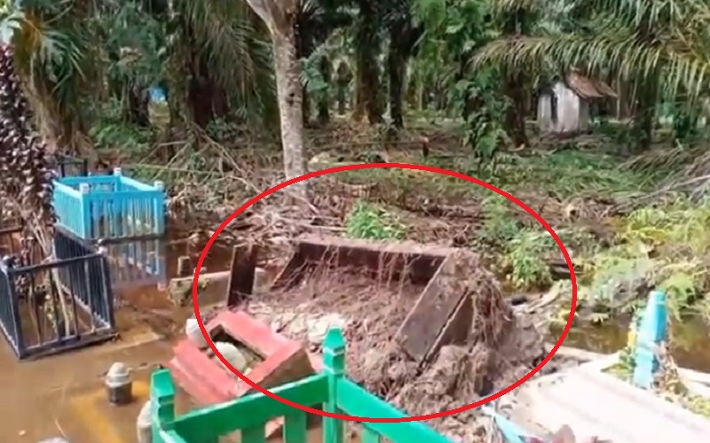 Peti Jenazah Lengkap dengan Kain Kafan di Permakaman Ini Muncul ke Permukaan