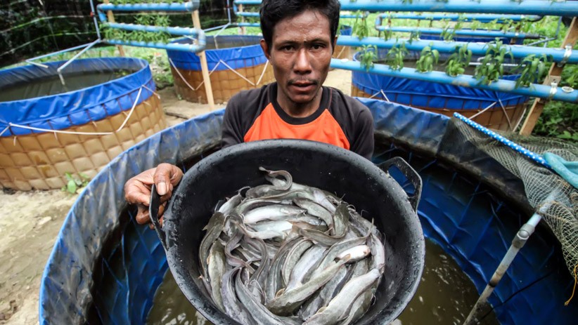 Babinsa TNI Bina Mantan Kombatan GAM Budi Daya Ikan Lele Bioflok - Bagian 1