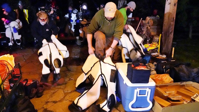 Ilmuwan Amerika Serikat Temukan Sarang Lebah Pembunuh  - Bagian 5