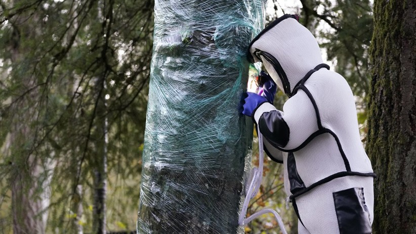 Ilmuwan Amerika Serikat Temukan Sarang Lebah Pembunuh  - Bagian 4