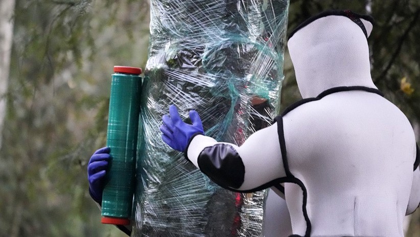 Ilmuwan Amerika Serikat Temukan Sarang Lebah Pembunuh  - Bagian 3