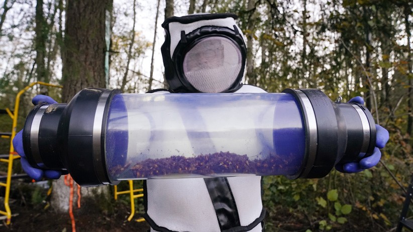 Ilmuwan Amerika Serikat Temukan Sarang Lebah Pembunuh  - Bagian 1