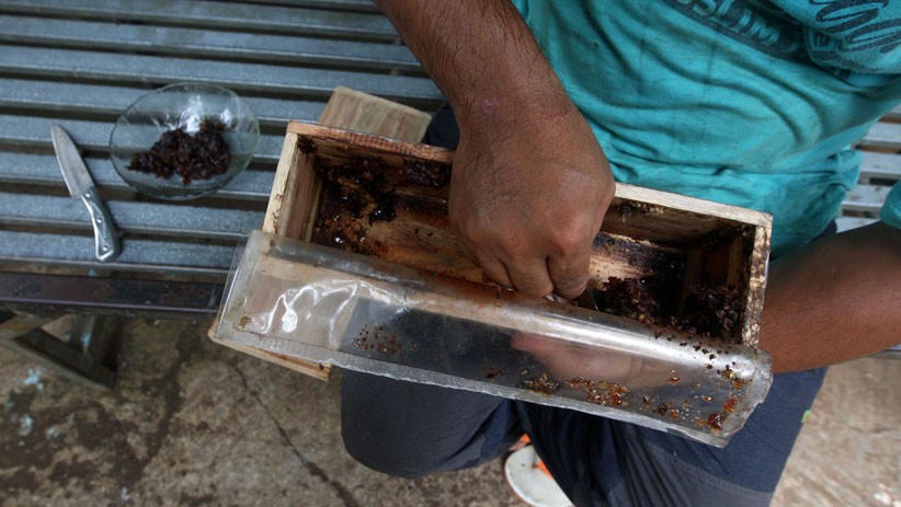 Peternak Madu Klanceng Bertahan di Tengah Pandemi Covid-19 - Bagian 3