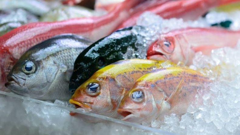 Sulut Ekspor Ikan Kaleng ke 12 Negara Eropa dan Asia Sepanjang 2021