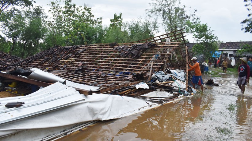 Kandang Berisi 10.000 Ekor Ayam Roboh Diterjang Banjir di Madiun - Bagian 2