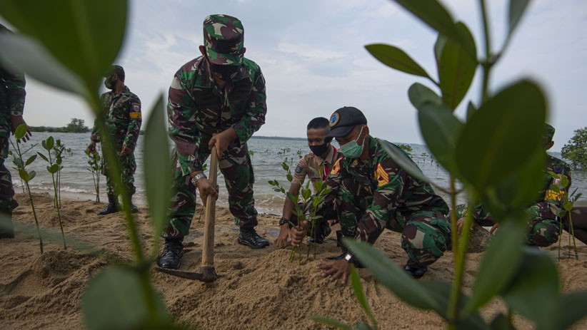 Taruna AAL Angkatan ke-67 Tanam Bakau di Bintan - Bagian 2