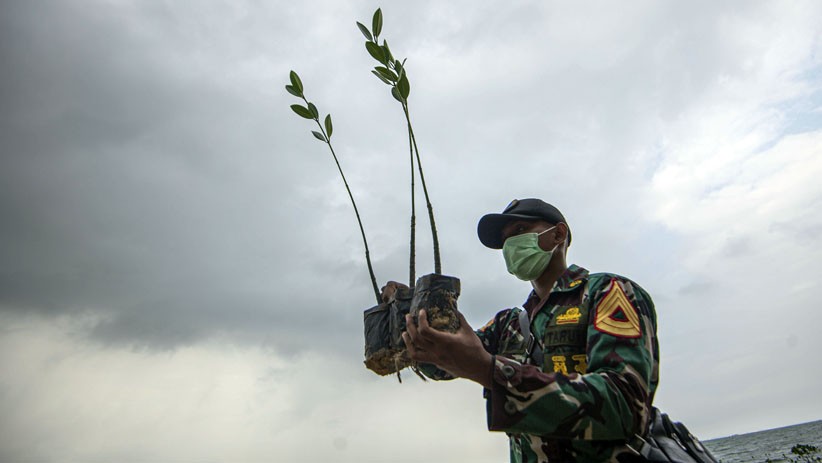 Taruna AAL Angkatan ke-67 Tanam Bakau di Bintan - Bagian 3