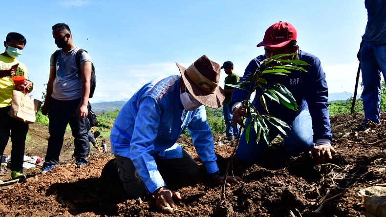 Liburan, Gubernur Nurdin Abdullah Berkebun di Desa Pucak Maros
