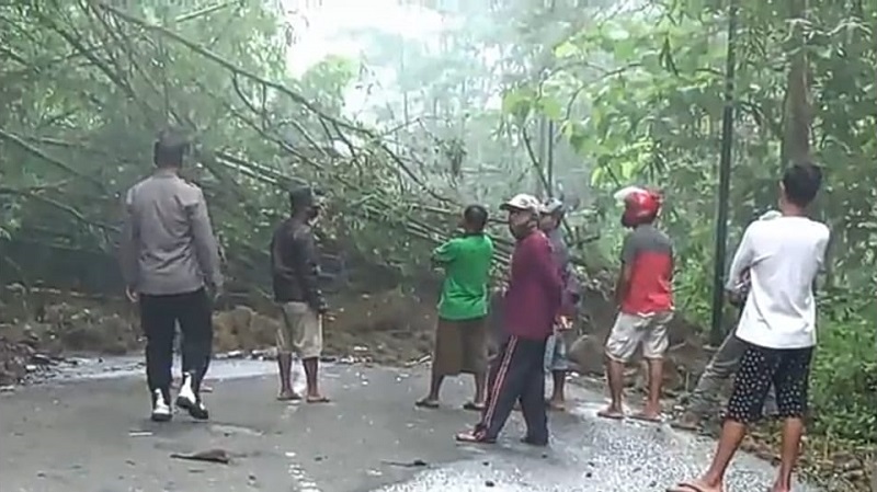 Jalur Pacitan-Trenggalek Tertutup Longsor, Pengguna Jalan Antre Tunggu Evakuasi