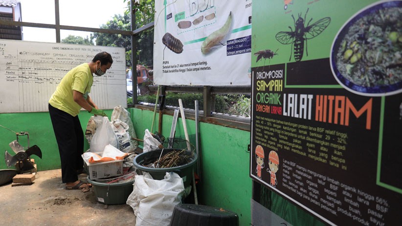 Mengurai Sampah Organik dengan Budi Daya Maggot - Bagian 3