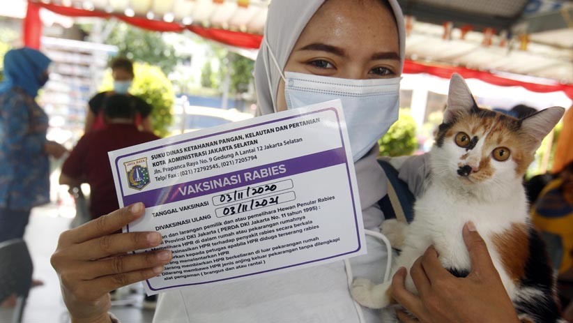 200 Hewan Peliharaan Disuntik Vaksin Rabies Gratis - Bagian 2
