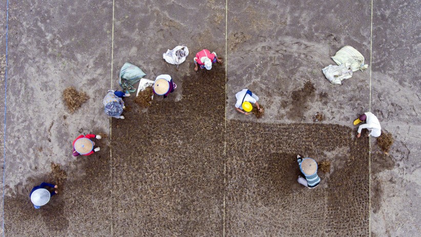 Progres Renovasi Stadion Madya Bumi Sriwijaya, Venue Pendukung Piala Dunia U-20 - Bagian 2