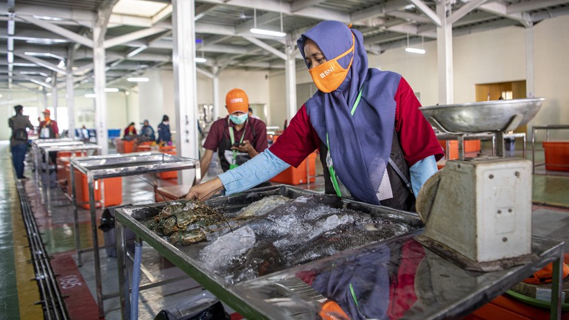 Penampakan Pasar Ikan Modern Pertama di Pulau Sumatera - Bagian 1