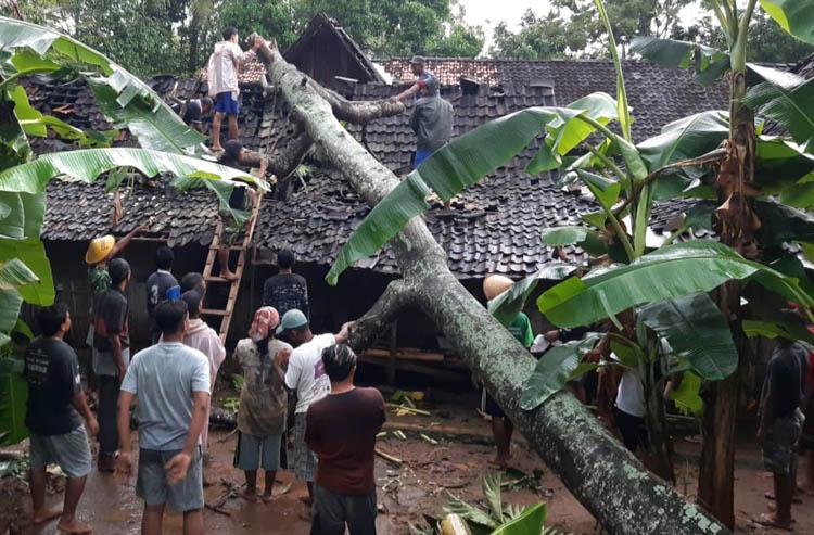 title  Puting Beliung di Gunungkidul Rusak 52 Rumah dan 1 Roboh  Puting Beliung di Gunungkidul Rusak 52 Rumah dan 1 Roboh