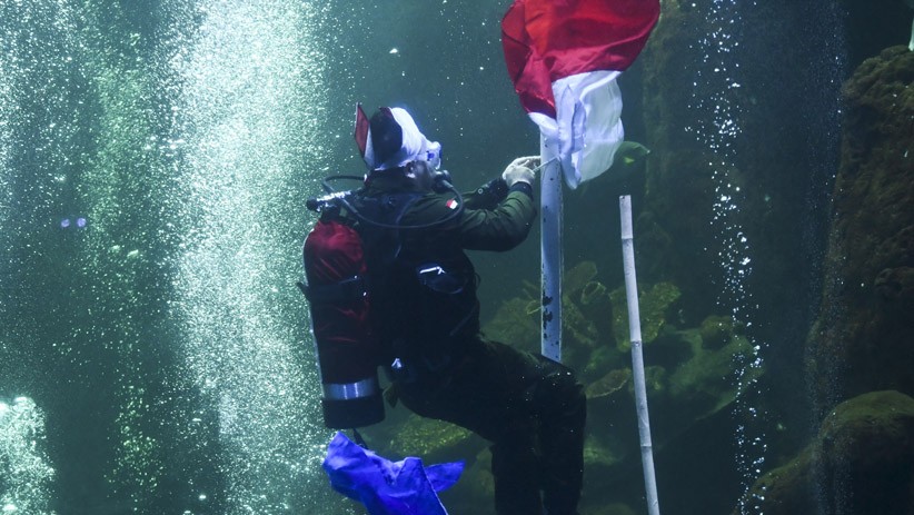 Peringati Hari Pahlawan, Para Penyelam Bertempur di Akuarium Sea World - Bagian 3