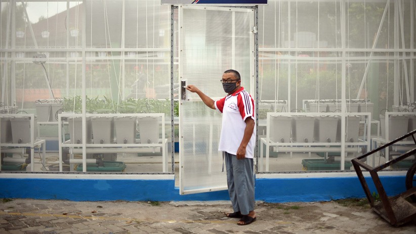 Kembangkan Pertanian Perkotaan, Warga Sunter Gunakan Sistem Rumah Kaca - Bagian 5